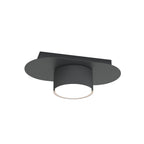 Zwarte plafondlamp Diaz met ovale plaat en cilindervormige lichtbron met witte diffuser