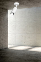 Plafondlamp spot gepoedercoat staal modern Hiro wit en chroom, 1 lichtpunt, verstelbaar, 8 x 19 cm