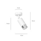Plafondlamp spot gepoedercoat staal modern Hiro wit en chroom, 1 lichtpunt, verstelbaar, 8 x 19 cm