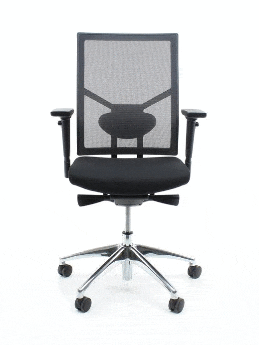 Bureaustoel ergonomisch mesh zwart, Regain-zitting, 4D-armleggers, lendensteun en synchroonmechaniek, Zuidas