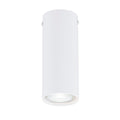 Witte cilindrische plafondlamp met GU10-spot aan de onderkant