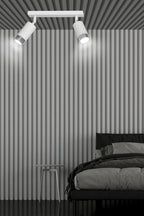 Plafondlamp gepoedercoat staal Hiro 2 spots, wit met zilver, 30 x 19 cm, voor hal en keuken