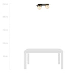 Plafondlamp Plaza gepoedercoat staal en glas, modern, zwart met amber glas, 2 lichtpunten, 45 x 18 cm