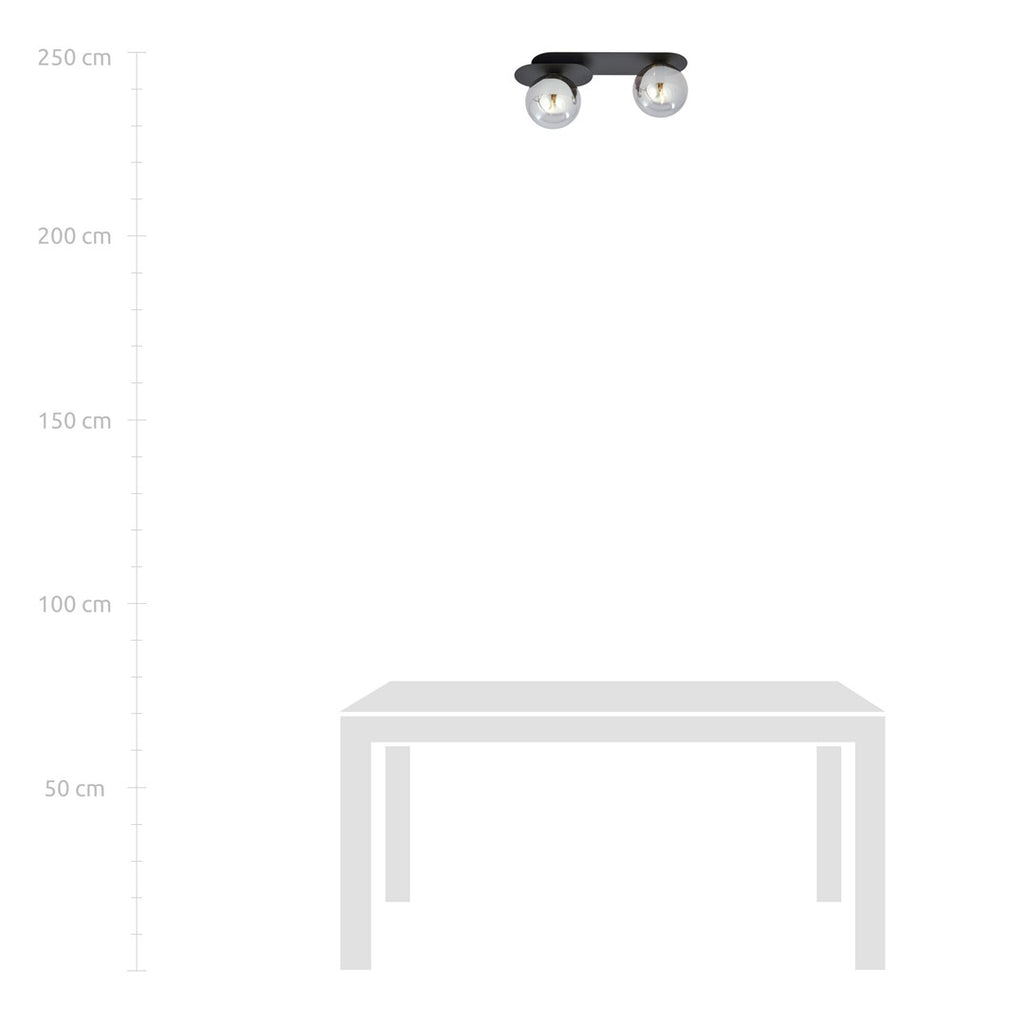 Plafondlamp gepoedercoat staal en glas Plaza 2 lichts, modern, zwart met grafiet glazen kappen, 45 cm