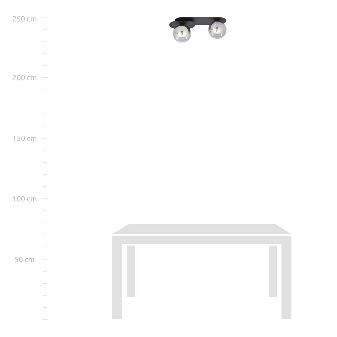 Plafondlamp gepoedercoat staal en glas Plaza 2 lichts, modern, zwart met grafiet glazen kappen, 45 cm