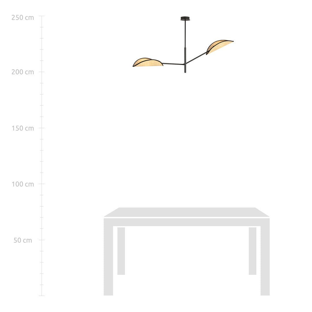 Plafondlamp gepoedercoat staal en rotan Vene, zwart met bruine bladvormige kappen, 2 lichtpunten, 102 x 51 cm, boho