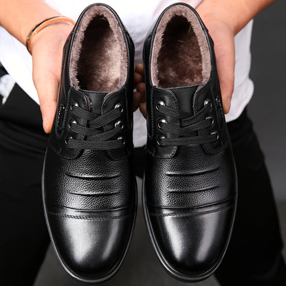 Men's winter business lace-up shoes, lined, brown