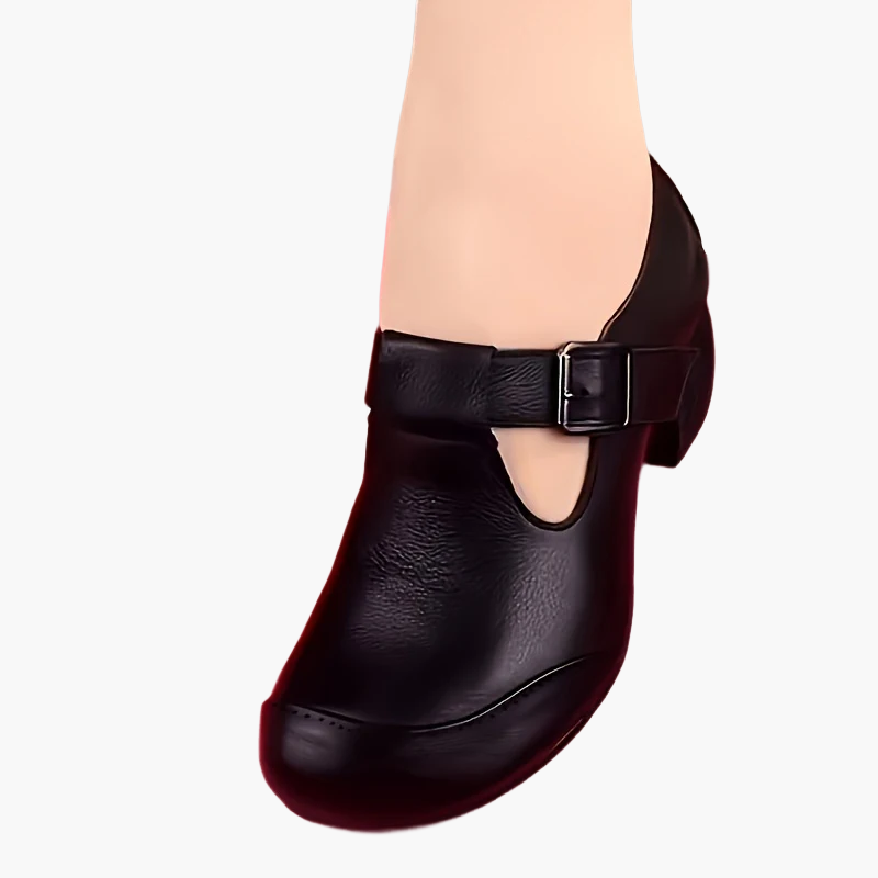Women's Comfort Block Heel Mary Jane Shoes for Everyday & Office