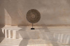 Decoratieobject schelp Guadeloupe op standaard, natuurwit – 10 x 40 x 55 cm, woonkamer