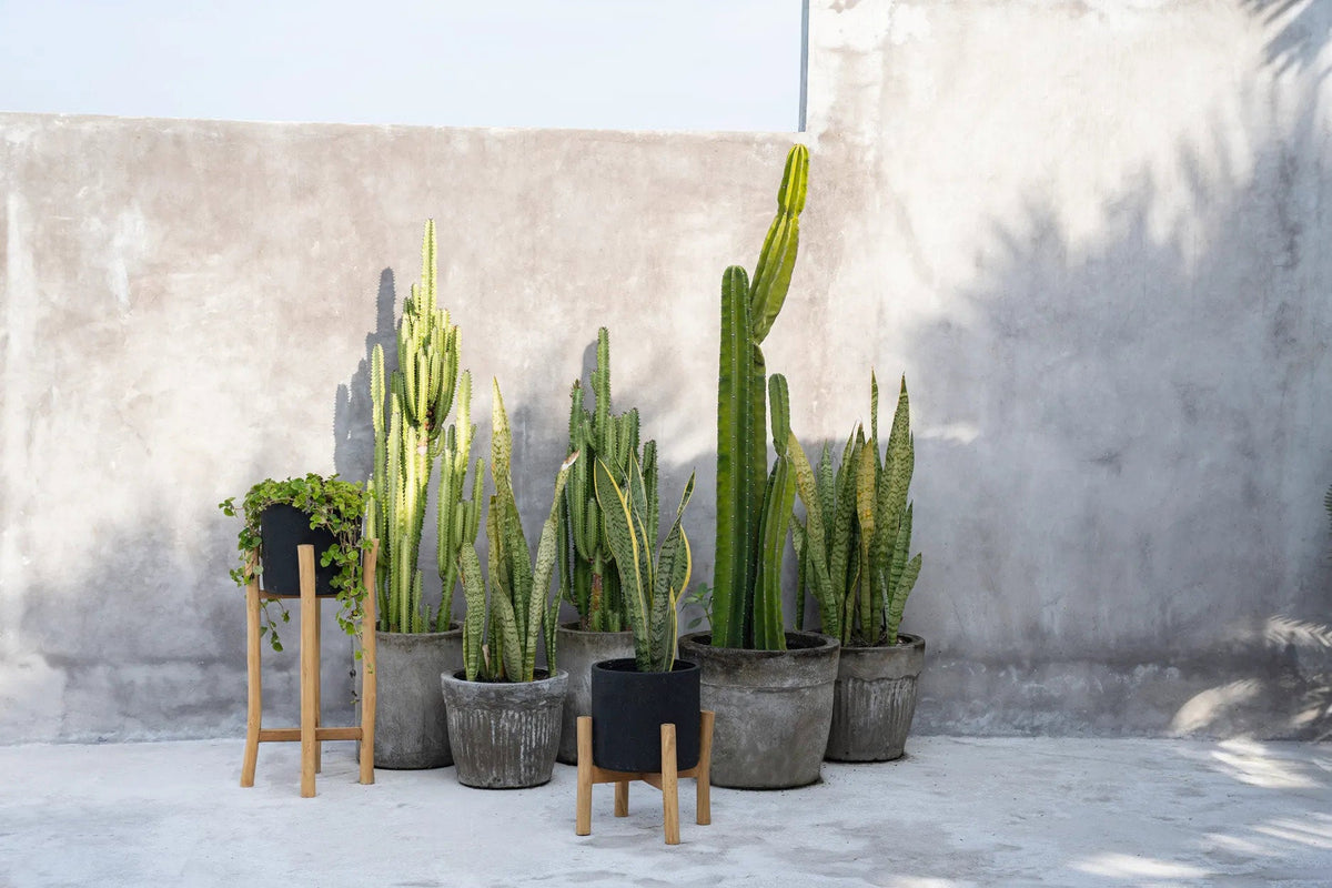 Bloempot terracotta met teakhouten standaard, zwart naturel, 28 x 28 x 36 cm, voor droogbloemen