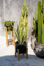 Bloempot terracotta met teakhouten standaard, zwart naturel, 28 x 28 x 36 cm, voor droogbloemen