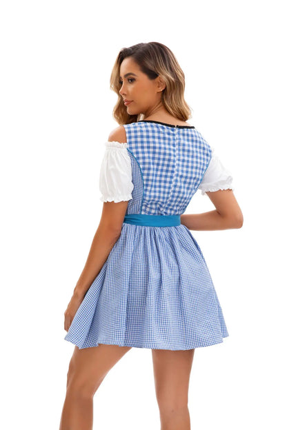 Dirndl Kleid Blau Weiß Kariert mit Schürze und Stickerei
