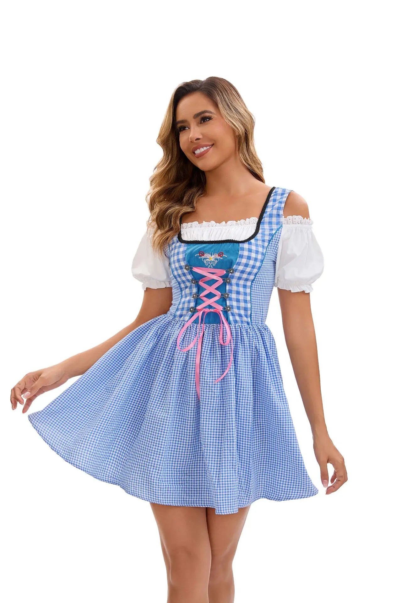 Dirndl Kleid Blau Weiß Kariert mit Schürze und Stickerei