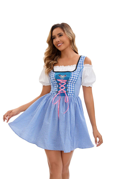 Dirndl Kleid Blau Weiß Kariert mit Schürze und Stickerei