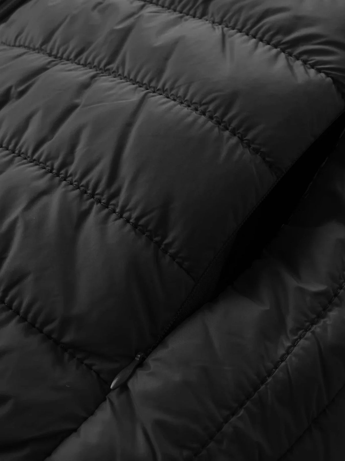 Padded quilted jacket with hood for men - lightweight and windproof, various colors