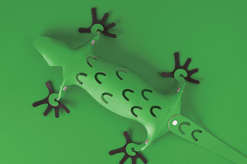 Organizer kunststof Amigos magnetische hagedis groen, voor koelkast en metalen oppervlakken