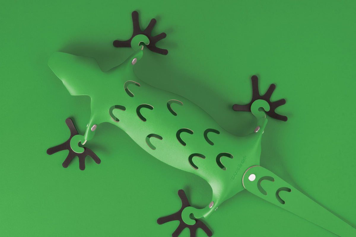 Organizer kunststof Amigos magnetische hagedis groen, voor koelkast en metalen oppervlakken