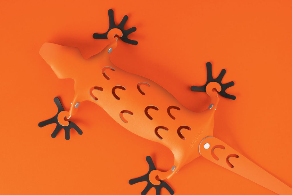 Organiser kunststof Amigos magnetische hagedis oranje, met extra klittenband voor de koelkast