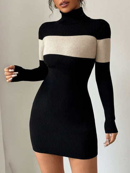 Rollkragen Strickkleid mit Blockstreifen Langarm Figurbetont