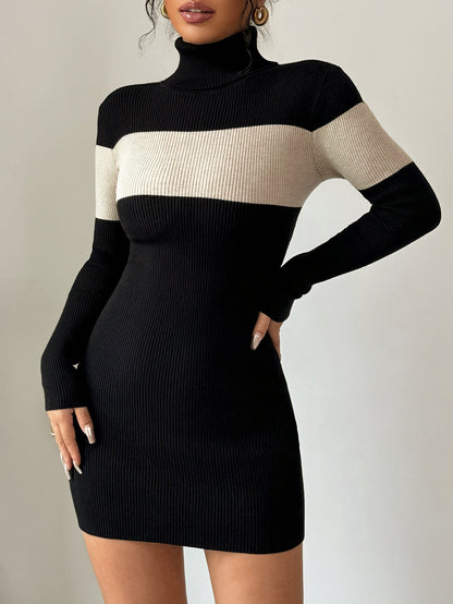 Rollkragen Strickkleid mit Blockstreifen Langarm Figurbetont